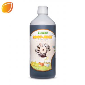 Root Juice - 1 L