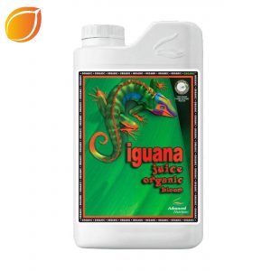 Iguana Bloom - 1 L
