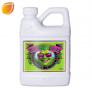 Big Bud - 250 ml
