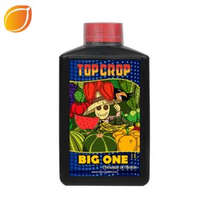 Big One  - 250 ml